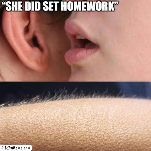 There was homework | “SHE DID SET HOMEWORK” | image tagged in whisper and goosebumps,homework,school | made w/ Lifeismeme meme maker