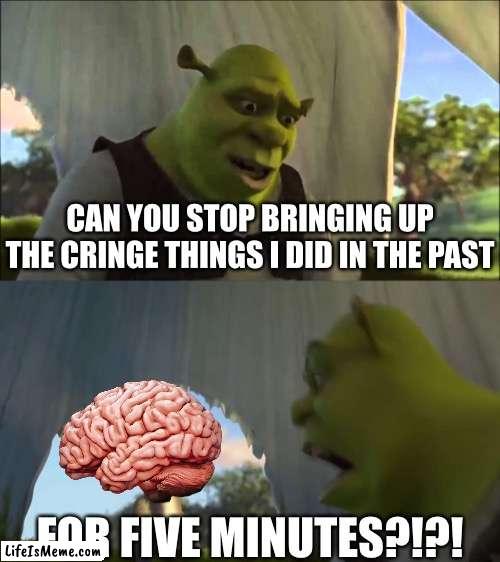 Me Everytime i try to go to sleep: | CAN YOU STOP BRINGING UP THE CRINGE THINGS I DID IN THE PAST; FOR FIVE MINUTES?!?! | image tagged in shrek five minutes,memes,brain,relatable,relatable memes,funny | made w/ Lifeismeme meme maker