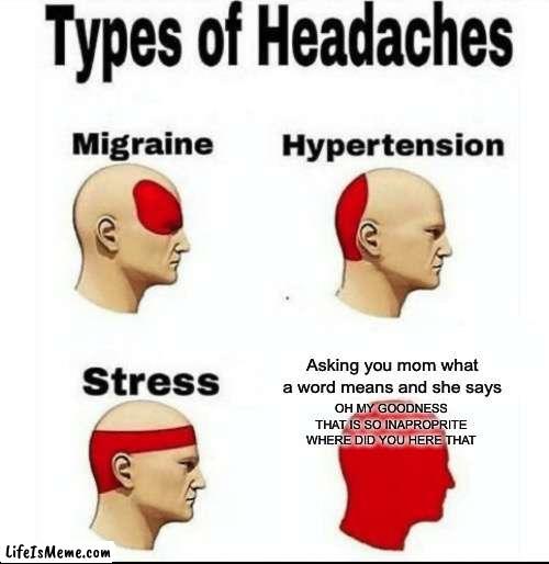 Mommy what does **** mean | Asking you mom what a word means and she says; OH MY GOODNESS THAT IS SO INAPROPRITE WHERE DID YOU HERE THAT | image tagged in types of headaches meme | made w/ Lifeismeme meme maker