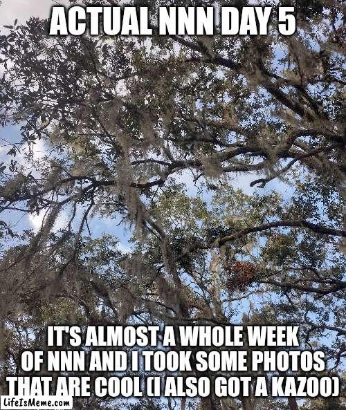 Actual nnn day 5 | ACTUAL NNN DAY 5; IT'S ALMOST A WHOLE WEEK OF NNN AND I TOOK SOME PHOTOS THAT ARE COOL (I ALSO GOT A KAZOO) | image tagged in nnn | made w/ Lifeismeme meme maker