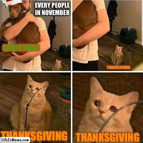 DID SOMEONE ALREADY HAVE THIS MEME? | EVERY PEOPLE IN NOVEMBER; CHRISTMAS; THANKSGIVING; THANKSGIVING; THANKSGIVING | image tagged in sad cat holding dog,christmas,thanksgiving,holidays | made w/ Lifeismeme meme maker