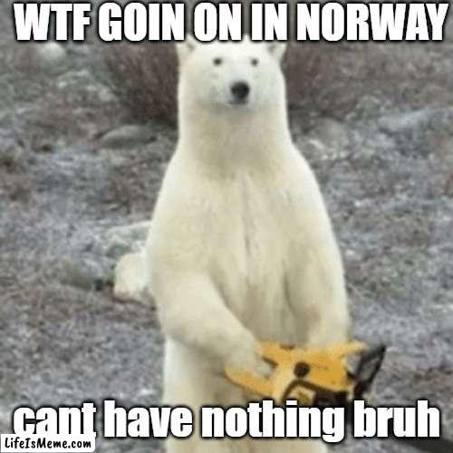 wtf goin on in norway bruh | WTF GOIN ON IN NORWAY; cant have nothing bruh | image tagged in funny memes,norway,iceberg,memes | made w/ Lifeismeme meme maker