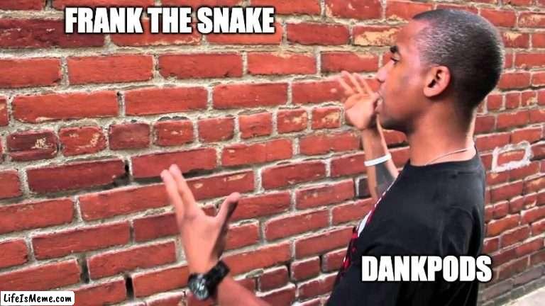 FRRRAAANNNNKKKKKKK!!! | FRANK THE SNAKE; DANKPODS | image tagged in talking to wall | made w/ Lifeismeme meme maker