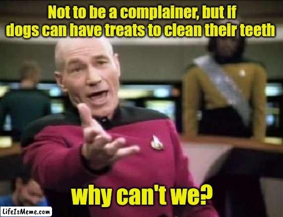 I want a Scooby snack. | Not to be a complainer, but if dogs can have treats to clean their teeth; why can't we? | image tagged in jean luc picard,funny | made w/ Lifeismeme meme maker