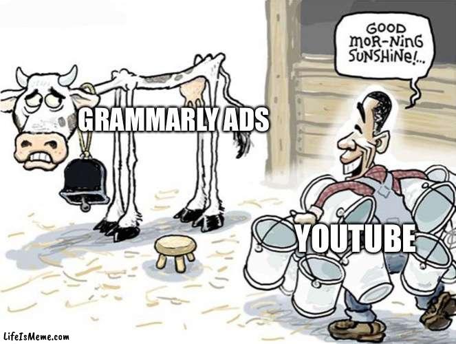 YouTube needs to give grammarly a break | GRAMMARLY ADS; YOUTUBE | image tagged in milking the cow | made w/ Lifeismeme meme maker