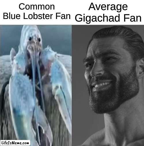 Common Blue Lobster Fan vs Average Gigachad Fan | Average
Gigachad Fan; Common
Blue Lobster Fan | image tagged in average fan vs average enjoyer | made w/ Lifeismeme meme maker