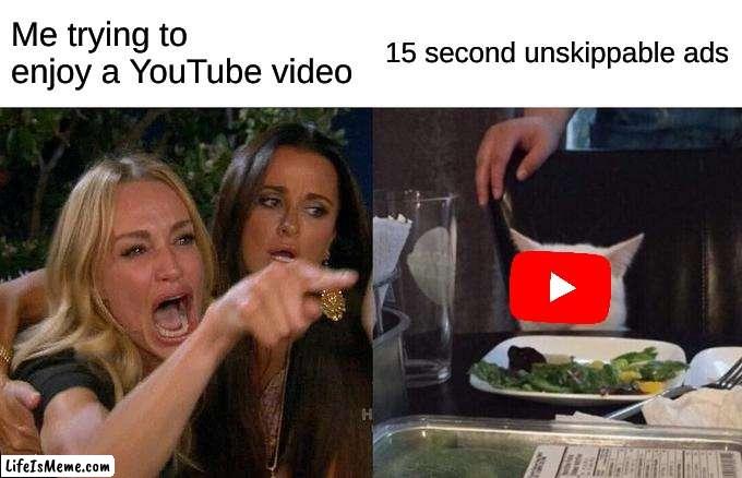 *intelligible muttering* | Me trying to enjoy a YouTube video; 15 second unskippable ads | image tagged in memes,woman yelling at cat | made w/ Lifeismeme meme maker