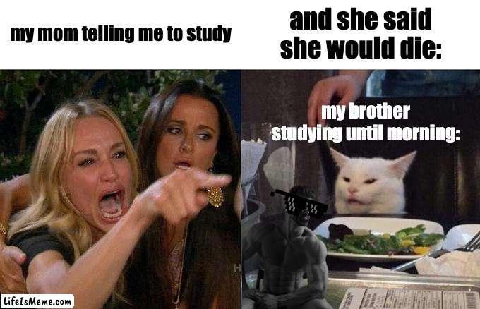 siblingers | my mom telling me to study; and she said she would die:; my brother studying until morning: | image tagged in memes,woman yelling at cat | made w/ Lifeismeme meme maker