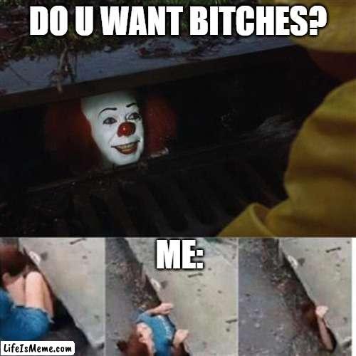 I get no bitches | DO U WANT BITCHES? ME: | image tagged in pennywise in sewer,no bitches | made w/ Lifeismeme meme maker