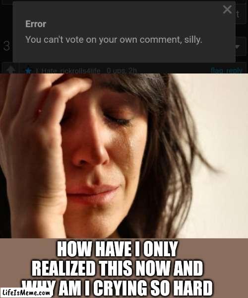 *tears* | HOW HAVE I ONLY REALIZED THIS NOW AND WHY AM I CRYING SO HARD | image tagged in memes,first world problems | made w/ Lifeismeme meme maker