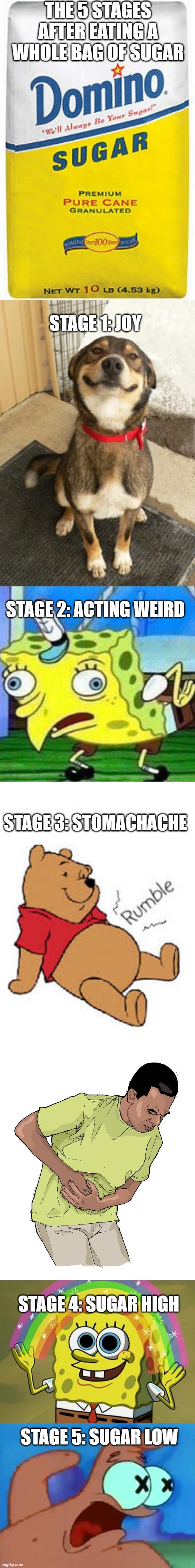 The 5 stages of Sugar consumption | THE 5 STAGES AFTER EATING A WHOLE BAG OF SUGAR; STAGE 1: JOY; STAGE 2: ACTING WEIRD; STAGE 3: STOMACHACHE; STAGE 4: SUGAR HIGH; STAGE 5: SUGAR LOW | image tagged in bag of sugar,dog smiling big,triggerpaul,tummy rumble,eola-stomach-pain jpg,memes | made w/ Lifeismeme meme maker