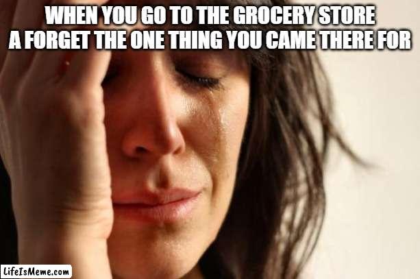 free Ryazhenka | WHEN YOU GO TO THE GROCERY STORE A FORGET THE ONE THING YOU CAME THERE FOR | image tagged in memes,first world problems | made w/ Lifeismeme meme maker