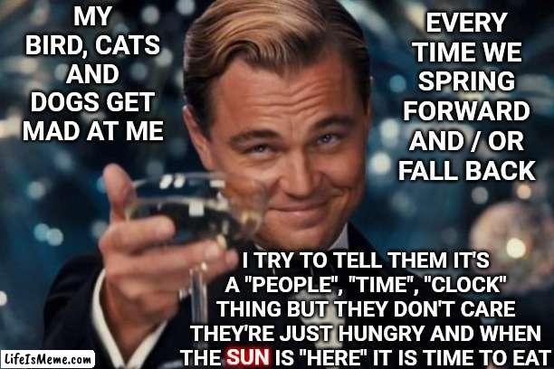 Don't Forget It's Time For Medications And Shots Too | MY BIRD, CATS AND DOGS GET MAD AT ME; EVERY TIME WE SPRING FORWARD AND / OR FALL BACK; SUN; I TRY TO TELL THEM IT'S A "PEOPLE", "TIME", "CLOCK" THING BUT THEY DON'T CARE
THEY'RE JUST HUNGRY AND WHEN THE SUN IS "HERE" IT IS TIME TO EAT | image tagged in memes,leonardo dicaprio cheers,daylight savings time,when 8am is not 8am anymore,what time is it,who knows | made w/ Lifeismeme meme maker