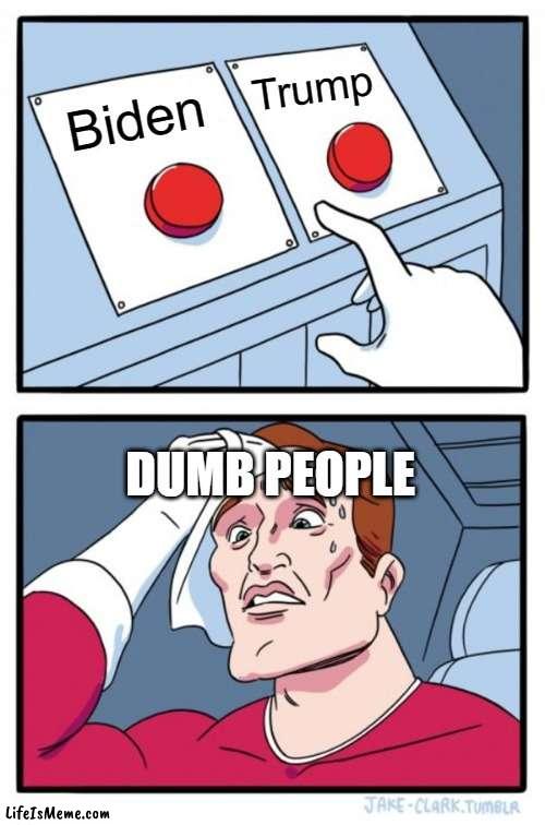 Voting | Trump; Biden; DUMB PEOPLE | image tagged in memes,two buttons | made w/ Lifeismeme meme maker