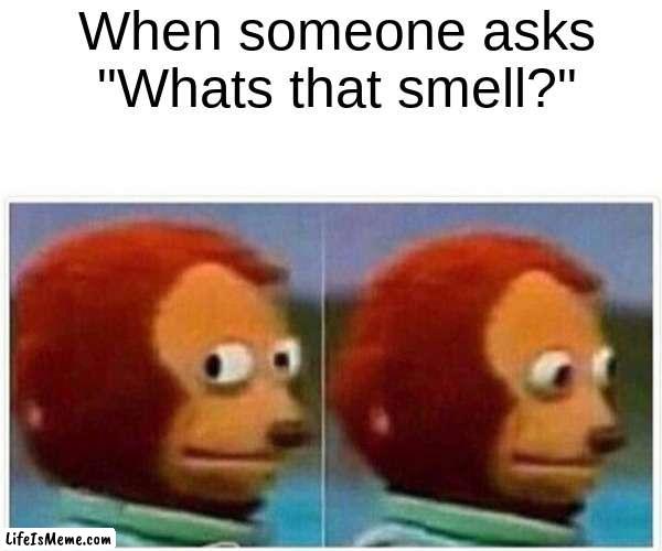 Whats that smell? | When someone asks "Whats that smell?" | image tagged in memes,monkey puppet | made w/ Lifeismeme meme maker