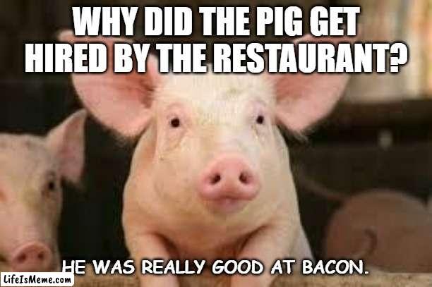 Daily Bad Dad Joke 11/08/2022 | WHY DID THE PIG GET HIRED BY THE RESTAURANT? HE WAS REALLY GOOD AT BACON. | image tagged in pig | made w/ Lifeismeme meme maker