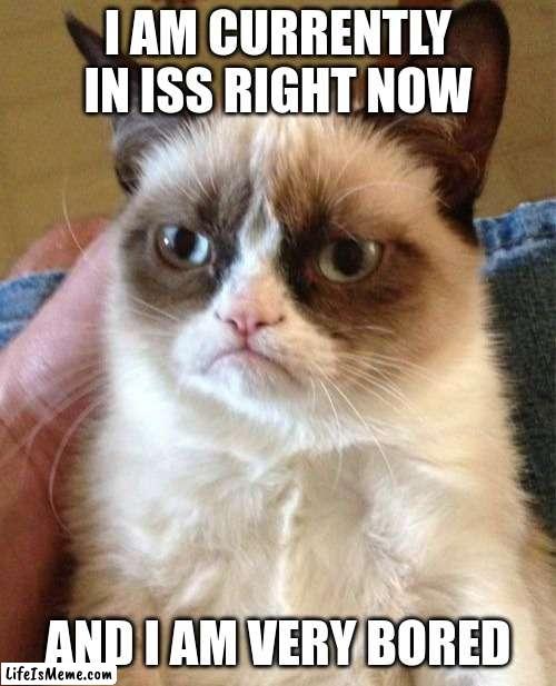 it means in school suspension | I AM CURRENTLY IN ISS RIGHT NOW; AND I AM VERY BORED | image tagged in memes,grumpy cat | made w/ Lifeismeme meme maker