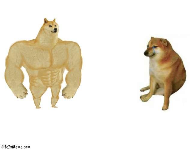 How those maths test feel like. | image tagged in memes,buff doge vs cheems | made w/ Lifeismeme meme maker