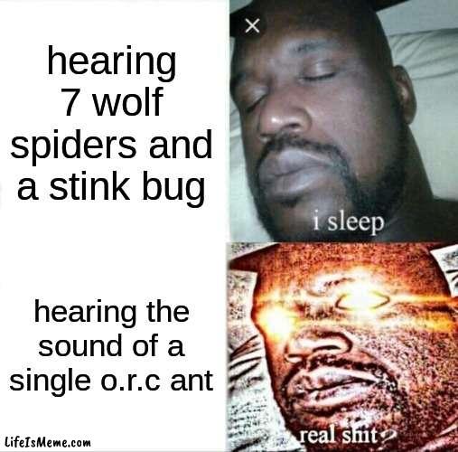 i just hate o.r.cs in general cause they dont stop appearing | hearing 7 wolf spiders and a stink bug; hearing the sound of a single o.r.c ant | image tagged in memes,sleeping shaq | made w/ Lifeismeme meme maker