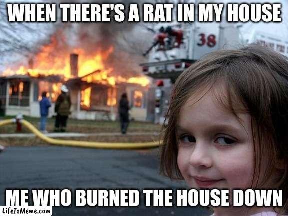 by by rat | WHEN THERE'S A RAT IN MY HOUSE; ME WHO BURNED THE HOUSE DOWN | image tagged in memes,disaster girl | made w/ Lifeismeme meme maker