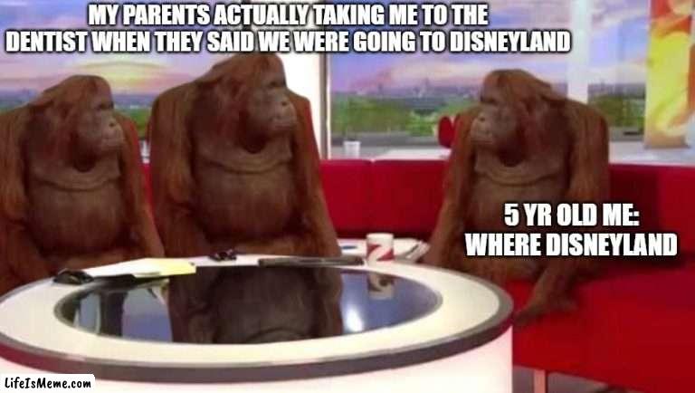 Meme #9 | MY PARENTS ACTUALLY TAKING ME TO THE DENTIST WHEN THEY SAID WE WERE GOING TO DISNEYLAND; 5 YR OLD ME: WHERE DISNEYLAND | image tagged in where monkey | made w/ Lifeismeme meme maker