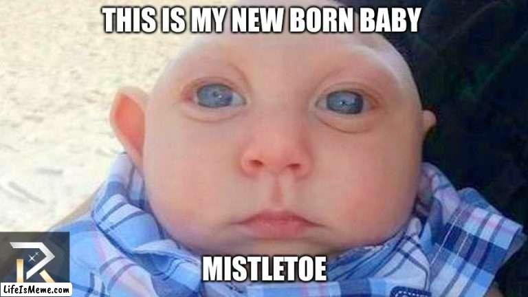 please wish him well because he's going to be the next hokage | THIS IS MY NEW BORN BABY; MISTLETOE | image tagged in baby,mistletoe,hokage | made w/ Lifeismeme meme maker