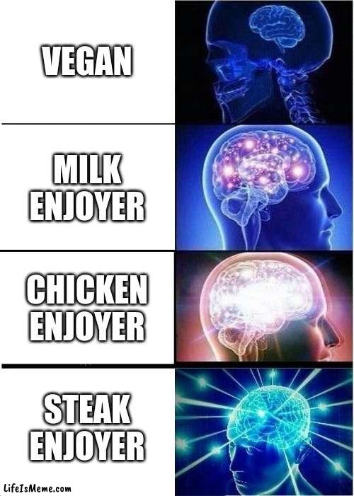 imagine being vegan | VEGAN; MILK ENJOYER; CHICKEN ENJOYER; STEAK ENJOYER | image tagged in memes,expanding brain | made w/ Lifeismeme meme maker