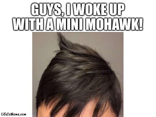 eXtrEmE BedHeAD | GUYS, I WOKE UP WITH A MINI MOHAWK! | image tagged in lol | made w/ Lifeismeme meme maker