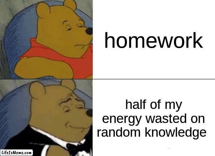 half of my energy wasted on this random meme | homework; half of my energy wasted on random knowledge | image tagged in memes,tuxedo winnie the pooh | made w/ Lifeismeme meme maker