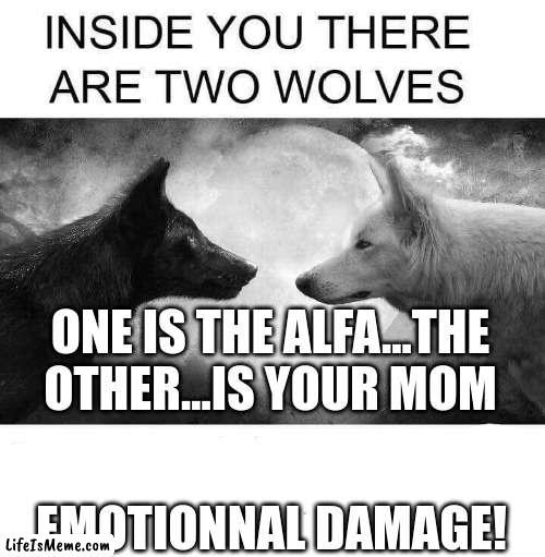 wolf | ONE IS THE ALFA...THE OTHER...IS YOUR MOM; EMOTIONNAL DAMAGE! | image tagged in inside you there are two wolves | made w/ Lifeismeme meme maker