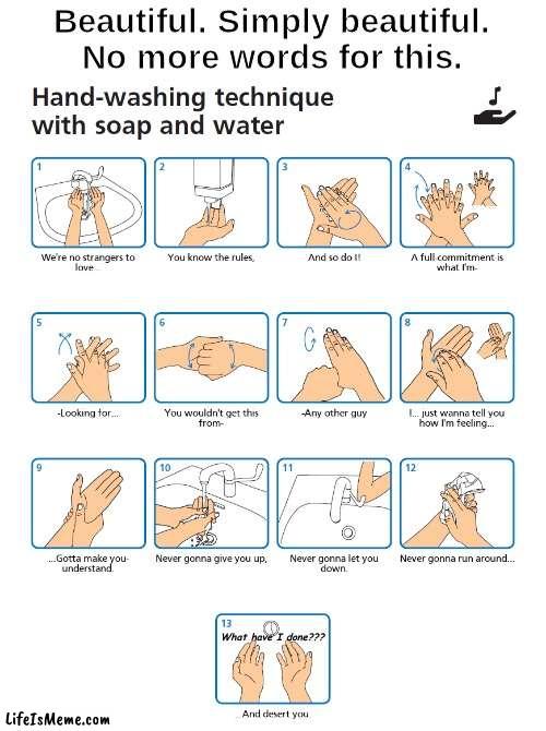 The most miserable way to wash your hands. | Beautiful. Simply beautiful.
No more words for this. What have I done??? | image tagged in astley's handwashing technique,memes,well that escalated quickly,rickrolled,lol gottem | made w/ Lifeismeme meme maker