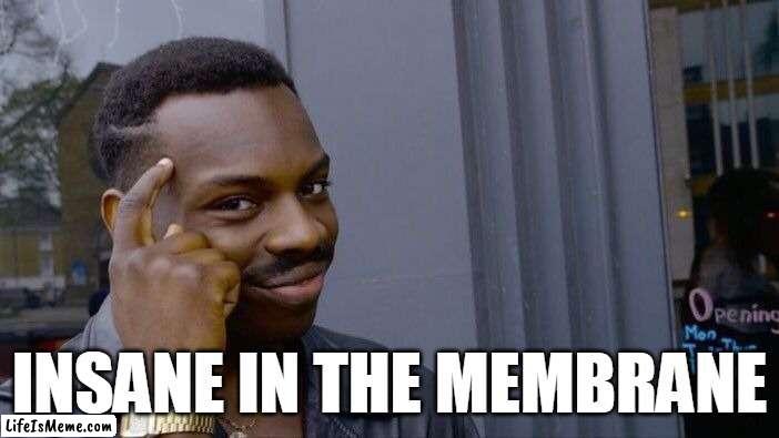 Insane In The Brain | INSANE IN THE MEMBRANE | image tagged in memes,roll safe think about it,cypress hill | made w/ Lifeismeme meme maker