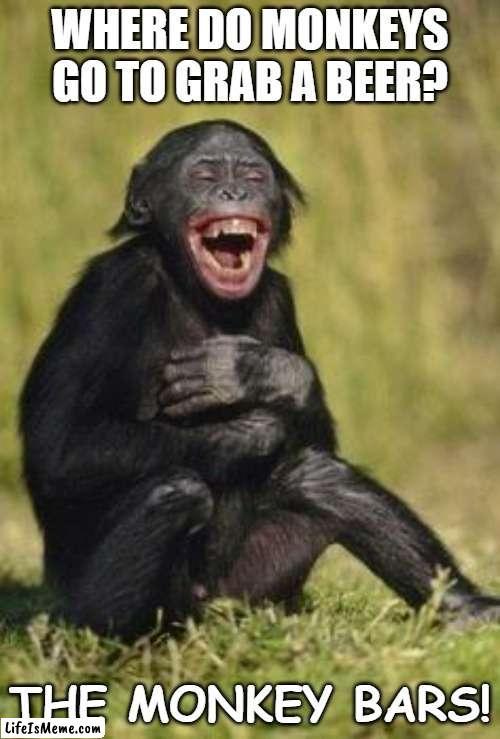 Daily Bad Dad Joke 11/10/2022 | WHERE DO MONKEYS GO TO GRAB A BEER? THE MONKEY BARS! | image tagged in laughing monkey | made w/ Lifeismeme meme maker
