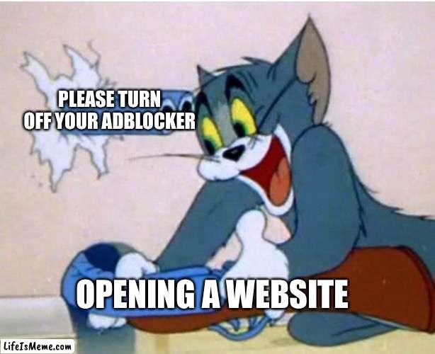 Why do i have to | PLEASE TURN OFF YOUR ADBLOCKER; OPENING A WEBSITE | image tagged in tom and jerry,memes,website,adblock,funny,dank memes | made w/ Lifeismeme meme maker