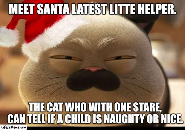 Santa’s Sussy little helper | MEET SANTA LATEST LITTE HELPER. THE CAT WHO WITH ONE STARE, CAN TELL IF A CHILD IS NAUGHTY OR NICE. | image tagged in christmas,disney,pixar,luca,funny memes,cats | made w/ Lifeismeme meme maker