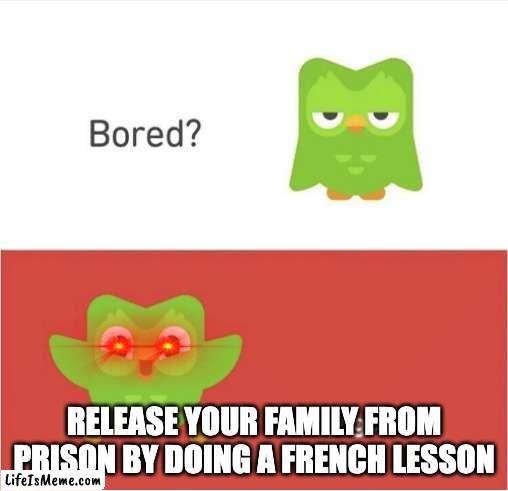 Duo Is Bored | RELEASE YOUR FAMILY FROM PRISON BY DOING A FRENCH LESSON | image tagged in duolingo bored,duolingo | made w/ Lifeismeme meme maker