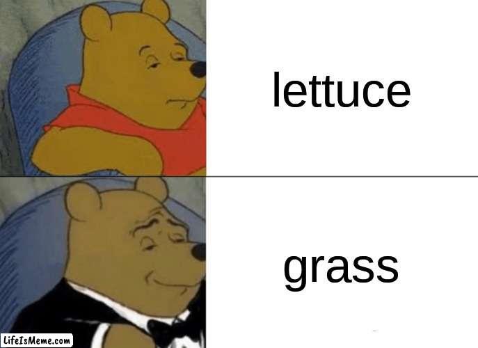 grass is good | lettuce; grass | image tagged in memes,tuxedo winnie the pooh | made w/ Lifeismeme meme maker