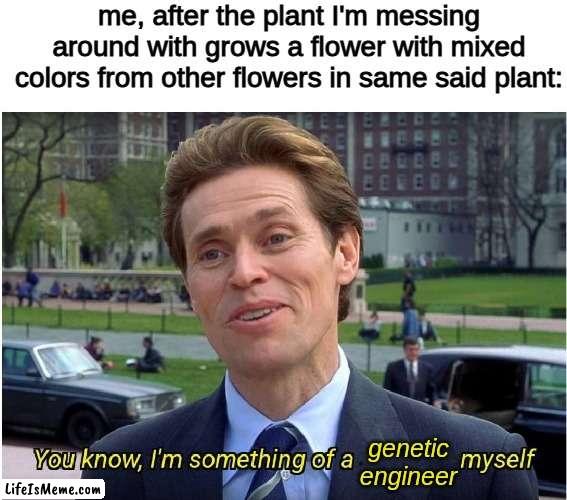 very sciencey indeed | me, after the plant I'm messing around with grows a flower with mixed colors from other flowers in same said plant:; genetic engineer | image tagged in you know i'm something of a _ myself | made w/ Lifeismeme meme maker