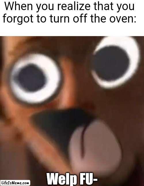 Burning down the house | When you realize that you forgot to turn off the oven:; Welp FU- | image tagged in oven,burning,shocked | made w/ Lifeismeme meme maker
