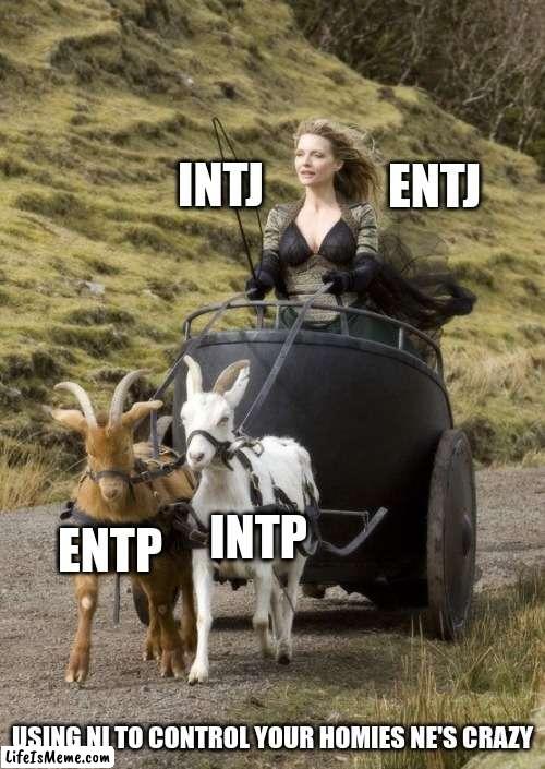 When your boss let's you let your Ne run but not too far away | ENTJ; INTJ; INTP; ENTP; USING NI TO CONTROL YOUR HOMIES NE'S CRAZY | image tagged in your pagan sister pulling up to the christmas party,entp,mbti,myers briggs,peersonality,memes | made w/ Lifeismeme meme maker
