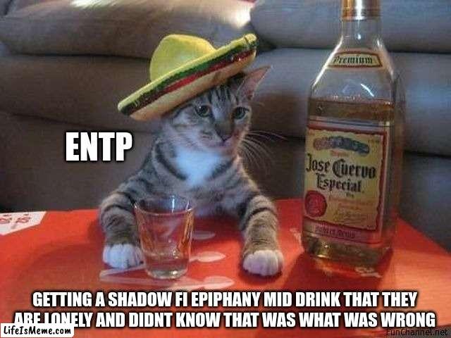 Shadow Fi Problems | ENTP; GETTING A SHADOW FI EPIPHANY MID DRINK THAT THEY
ARE LONELY AND DIDNT KNOW THAT WAS WHAT WAS WRONG | image tagged in party cat,entp,mbti,myers briggs,memes,personality | made w/ Lifeismeme meme maker