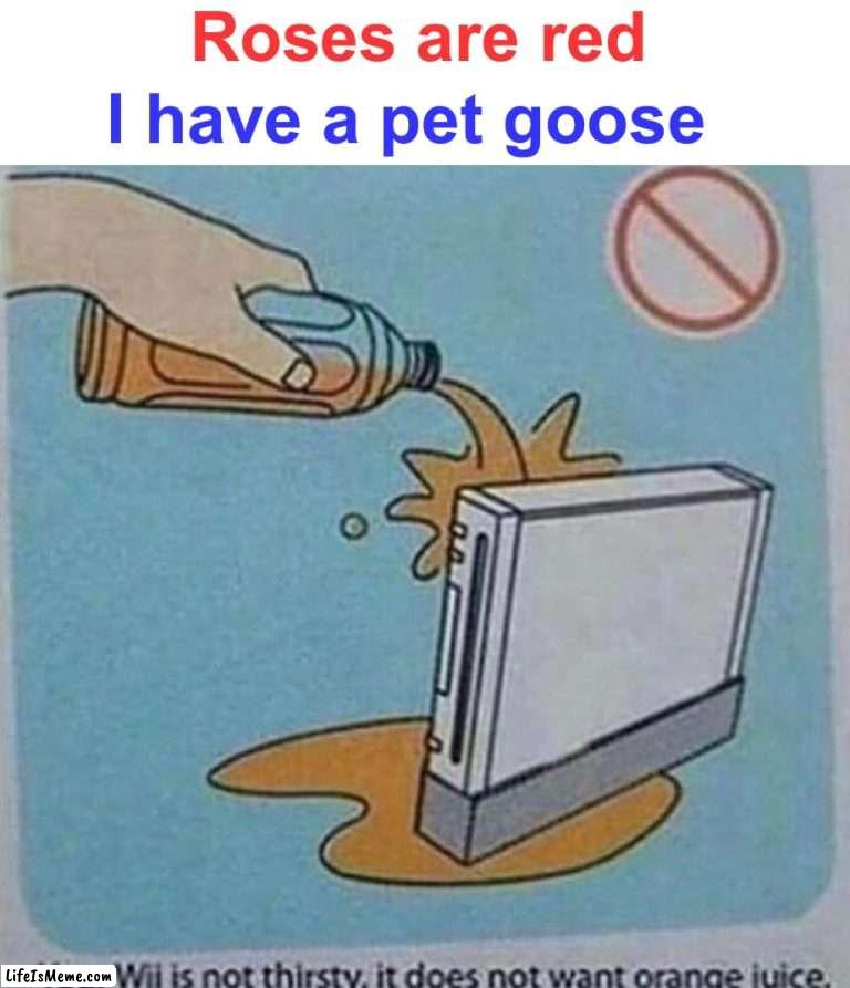 It keeps short circuiting, someone help :( | Roses are red; I have a pet goose | image tagged in memes,funny,relatable memes,orange juice,funny memes,wtf | made w/ Lifeismeme meme maker