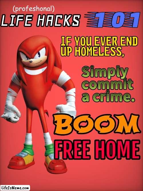 Sonic Boom Knuckles gives you life advice | image tagged in life hack,sonic boom,knuckles,homeless,life advice | made w/ Lifeismeme meme maker
