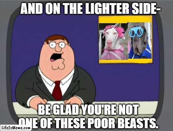 LIGHTEN UP | AND ON THE LIGHTER SIDE-; BE GLAD YOU'RE NOT ONE OF THESE POOR BEASTS. | image tagged in memes,peter griffin news,humor,humour | made w/ Lifeismeme meme maker