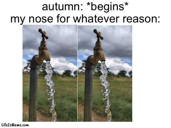 i always get a cold when autumn begins and idk why | autumn: *begins*
my nose for whatever reason: | image tagged in memes,unfunny,disgusting | made w/ Lifeismeme meme maker
