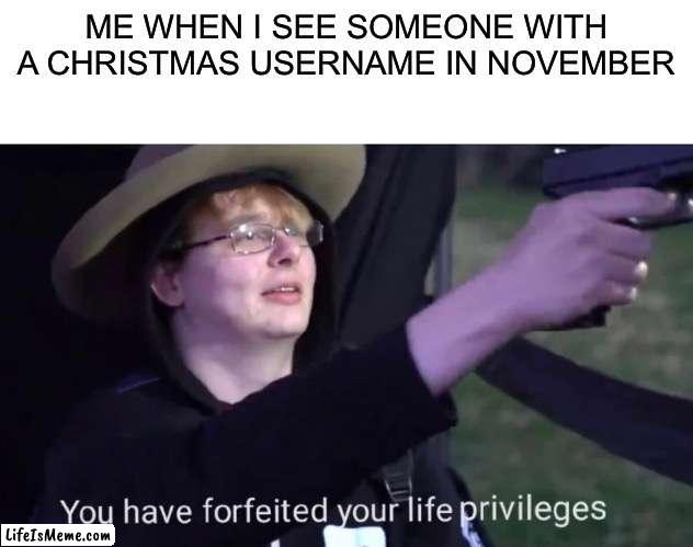 i have very strong opinions on this | ME WHEN I SEE SOMEONE WITH A CHRISTMAS USERNAME IN NOVEMBER | image tagged in you have forfeited life privileges,christmas,november | made w/ Lifeismeme meme maker