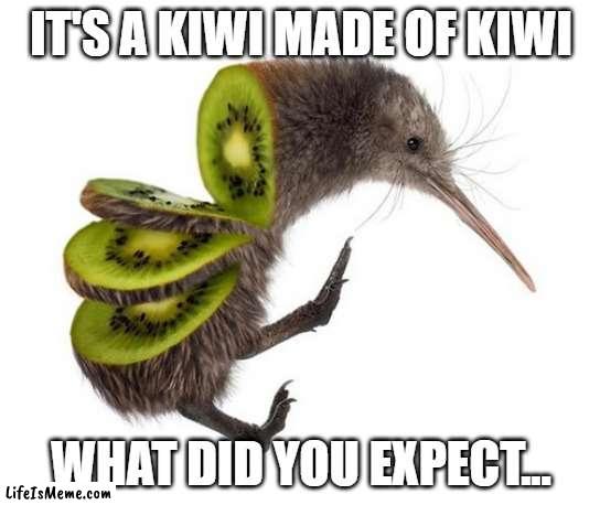 kiwiwiwiwiwiwiwiwiwiwi | IT'S A KIWI MADE OF KIWI; WHAT DID YOU EXPECT... | image tagged in kiwi,meme,funny,funny mem,funny meme | made w/ Lifeismeme meme maker