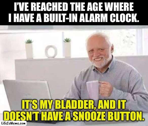 Time to get up | I’VE REACHED THE AGE WHERE I HAVE A BUILT-IN ALARM CLOCK. IT’S MY BLADDER, AND IT DOESN’T HAVE A SNOOZE BUTTON. | image tagged in harold | made w/ Lifeismeme meme maker