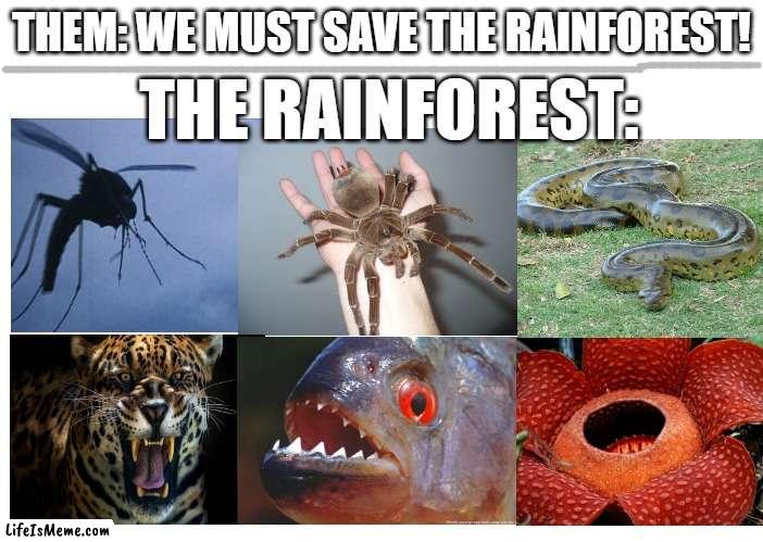 Save the Rainforest(?) | THEM: WE MUST SAVE THE RAINFOREST! THE RAINFOREST: | image tagged in long blank i guess,never gonna give you up,never gonna let you down,never gonna run around,and desert you | made w/ Lifeismeme meme maker