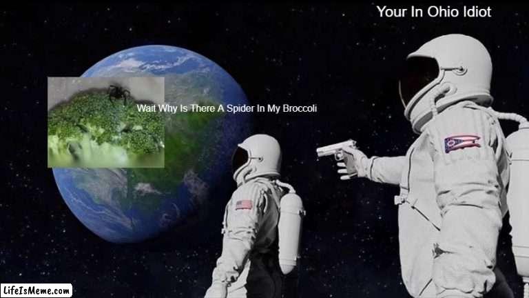 Spider's In Broccoli In Ohio | Your In Ohio Idiot; Wait Why Is There A Spider In My Broccoli | image tagged in memes,always has been,ohio,vegetables,spiders | made w/ Lifeismeme meme maker